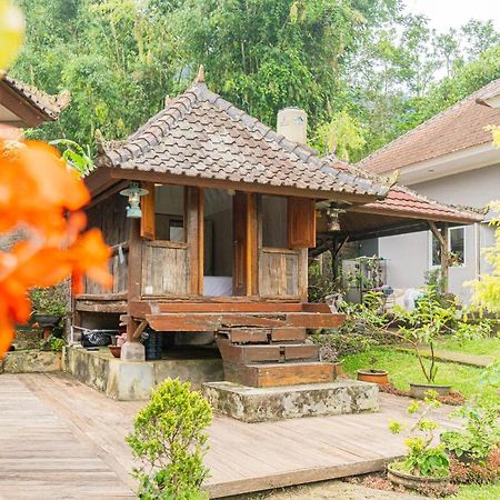 Four Monkeys House Villa Bedugul  Exterior photo