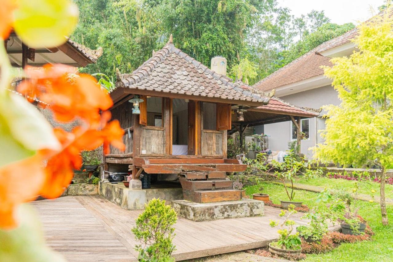 Four Monkeys House Villa Bedugul  Exterior photo