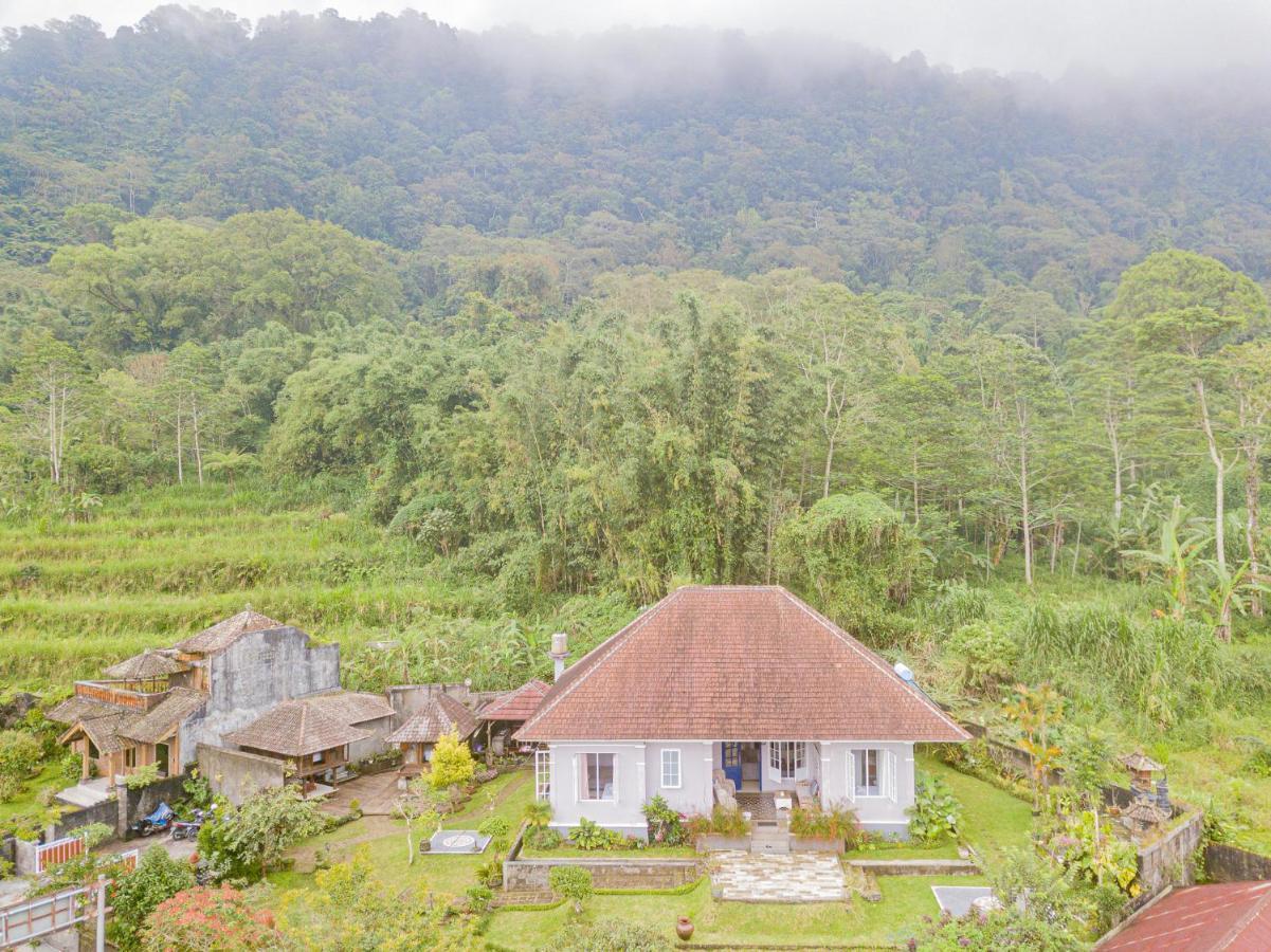 Four Monkeys House Villa Bedugul  Exterior photo